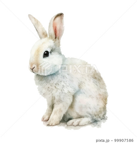 watercolor easter bunny rabbit on white bakground 99907586