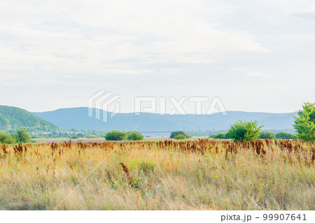 Steppe landscape on the bank of the river Sok Samara region Russia. View of the Zhiguli Mountains Steppe landscape on the bank of the river Sok Samara region Russia. View of the Zhiguli Mountains 99907641