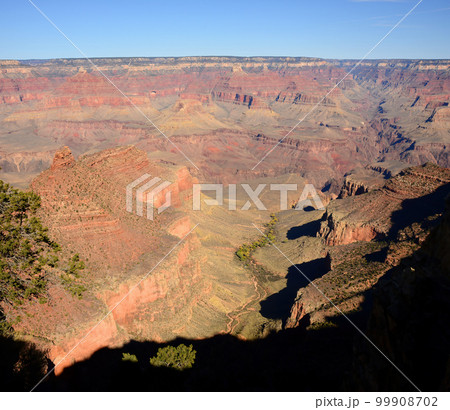 Grand Canyon Arizona Grand Canyon Arizona 99908702