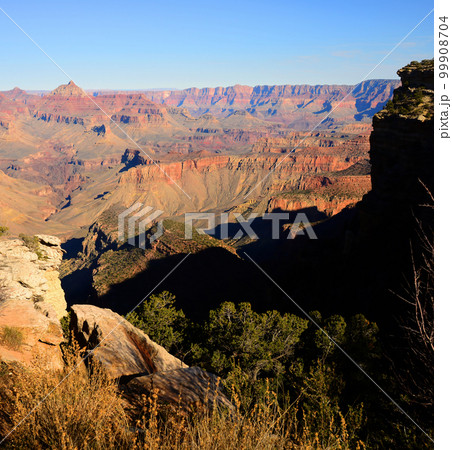 Grand Canyon Arizona Grand Canyon Arizona 99908704