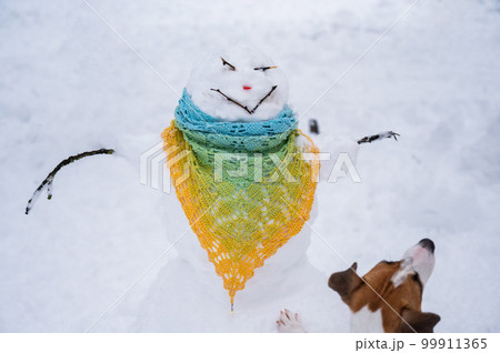 The dog walks outside in winter. Jack Russell Terrier next to a snowman wearing a scarf. The dog walks outside in winter. Jack Russell Terrier next to a snowman wearing a scarf. 99911365