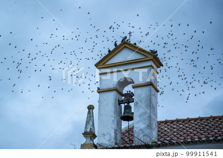PORTUGAL ALENTEJO ALTER DO CHAO PORTUGAL ALENTEJO ALTER DO CHAO 99911541