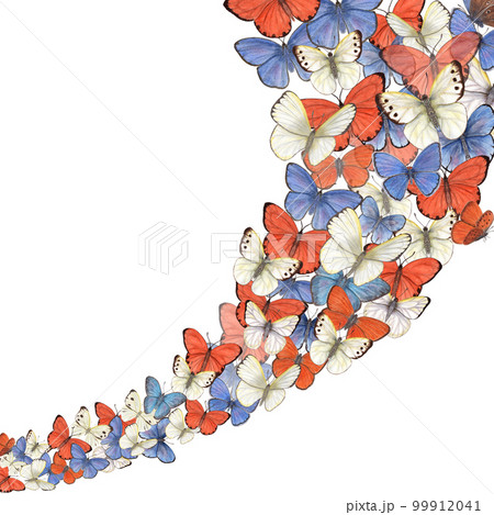 Watercolor flying white, orange, blue, butterflies. Hand drawn illustration for postcard design, invitation template, Valentine day, birthday, mother day cards, wedding invitation Watercolor flying white, orange, blue, butterflies. Hand drawn illustration for postcard design, invitation template, Valentine day, birthday, mother day cards, wedding invitation 99912041