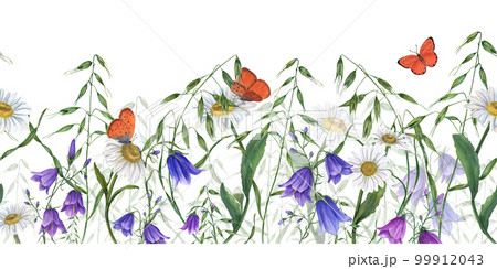 Floral seamless horizontal border with campanula, daisy. wild oats, flying butterflies. Watercolor isolated pattern on green background. For background, prints, wallpaper, fabric, textile, wrapping. Floral seamless horizontal border with campanula, daisy. wild oats, flying butterflies. Watercolor isolated pattern on green background. For background, prints, wallpaper, fabric, textile, wrapping. 99912043