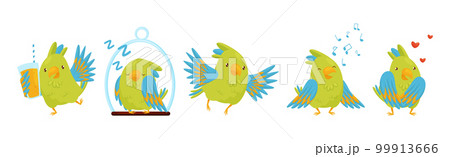 Funny Parrot with Green Feathers in Different Activities Vector Set 99913666