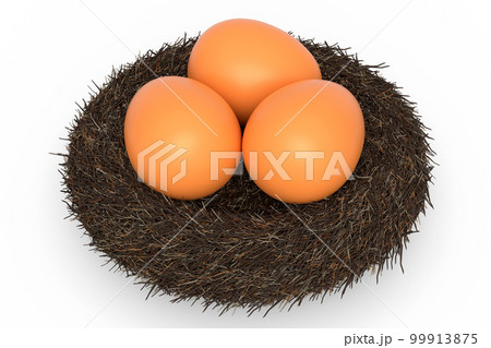 Farm raw organic brown eggs bird nest isolated on white background 99913875