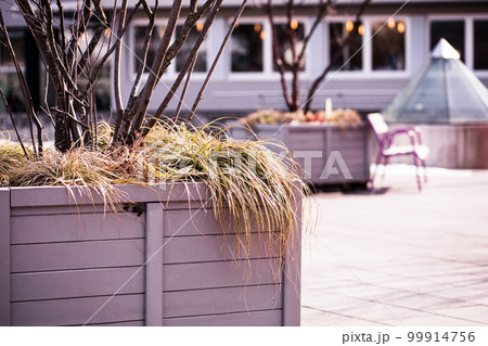 Villach, Austria - February 23, 2023: Walk around the city, outdoor wooden plant pots, sunny spring day Villach, Austria - February 23, 2023: Walk around the city, outdoor wooden plant pots, sunny spring day 99914756