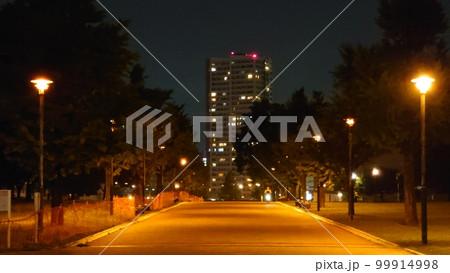 街灯に照らされたマンションへ真直ぐ続く道 街灯に照らされたマンションへ真直ぐ続く道 99914998