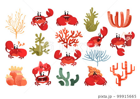 Funny smiling crab characters set. Cute crustacean creatures with big claws and seaweeds vector Funny smiling crab characters set. Cute crustacean creatures with big claws and seaweeds vector 99915665