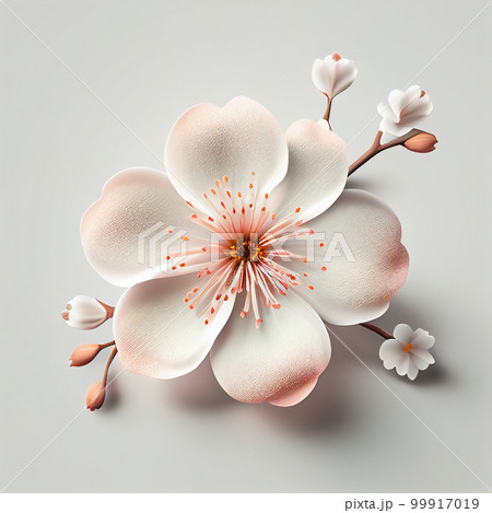 ミニマルな3D表現の桜の花びらのイラスト素材 [99917019] - PIXTA