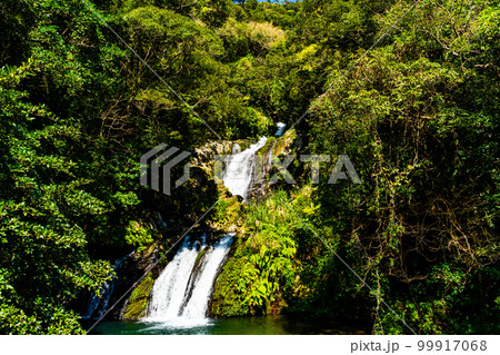 アランガチの滝 99917068