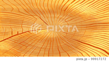 Realistic panoramic texture of the tallest green tree in the world, made in the USA - Vector Realistic panoramic texture of the tallest green tree in the world, made in the USA - Vector 99917272