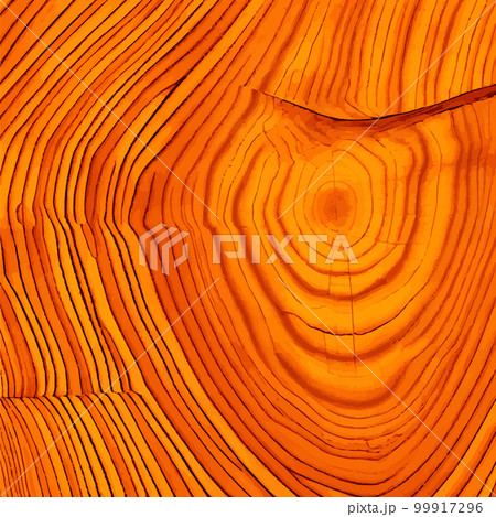 Realistic texture of the tallest green tree in the world, made in the USA - Vector 99917296