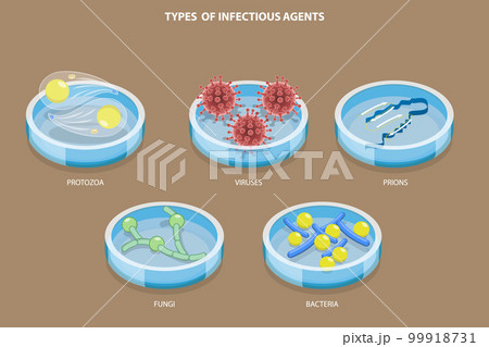 3D Isometric Flat Vector Set of Types Of Infectious Agents 99918731
