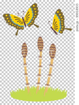 Illustration of spring butterflies and horsetails 99918933