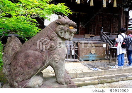東京都文京区 白山神社 東京都文京区 白山神社 99919309