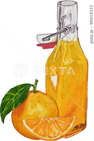 Orange orchard watercolor png element,fruits, Orange orchard watercolor png element,fruits, 99919335