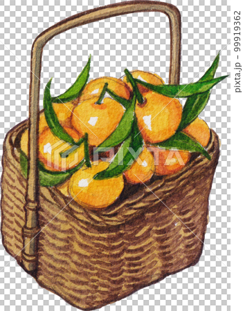 Orange orchard watercolorpng element,fruits, 99919362