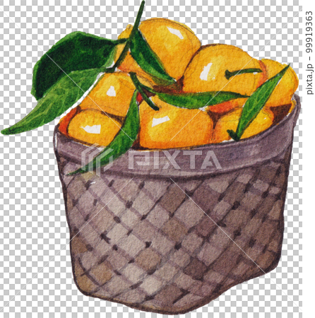 Orange orchard watercolorpng element,fruits, 99919363