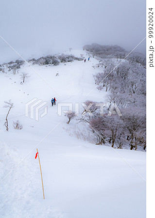 積雪した鈴鹿山脈の竜ヶ岳の遠足尾根を登る登山者 99920024