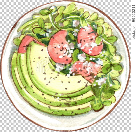 Avocado watercolor png element 99920211