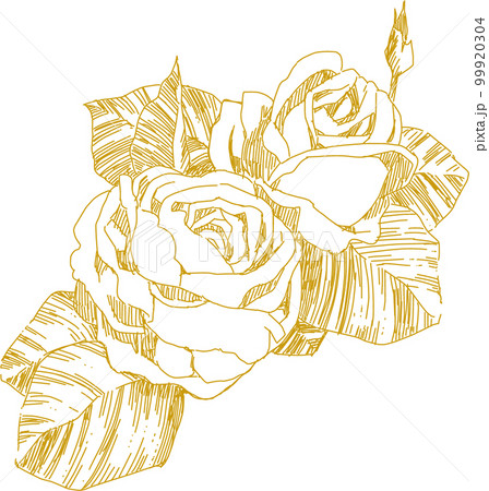 金の薔薇 金の薔薇 99920304