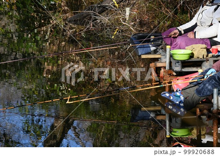 湖のヘラブナ釣り 99920688