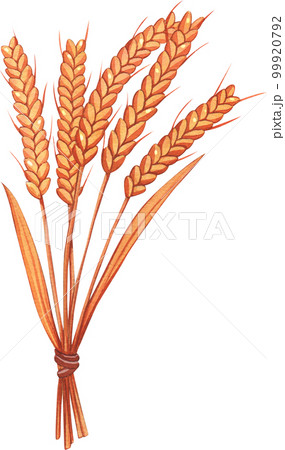 Bake bakery watercolor pnf element 99920792