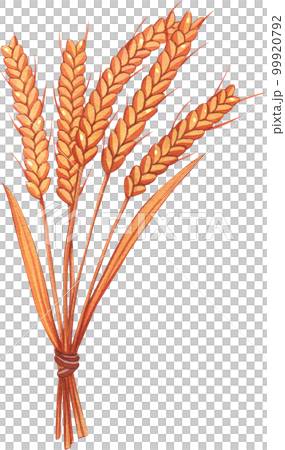 Bake bakery watercolor pnf element 99920792