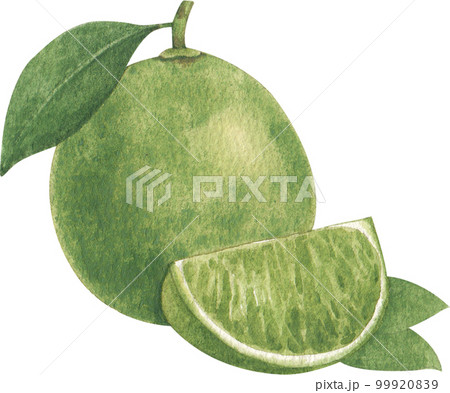 Ice cream scoop watercolor png element 99920839