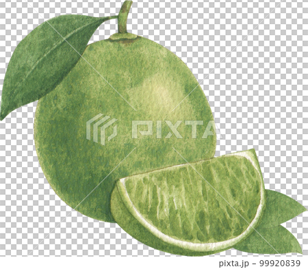 Ice cream scoop watercolor png element 99920839