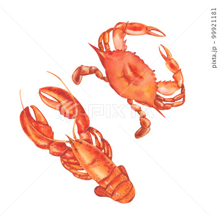 Seafood and ingredient watercolor png element 99921181