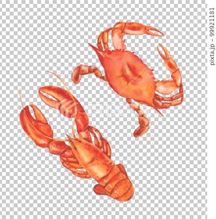 Seafood and ingredient watercolor png element 99921181