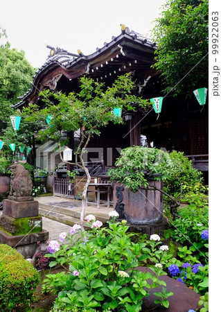 東京都文京区　白山神社 99922063