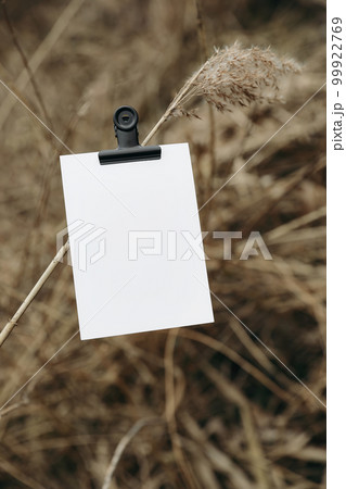 Greeting card, invitation mockup cliped on dry reed stem. Brown dry ears of grass. Moody autumn, winter outdoor concept. Closeup of fading wild plants. Vertical blurred background. Seasonal nature . Greeting card, invitation mockup cliped on dry reed stem. Brown dry ears of grass. Moody autumn, winter outdoor concept. Closeup of fading wild plants. Vertical blurred background. Seasonal nature . 99922769