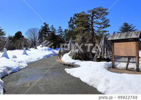 3月の上杉伯爵邸 99922788