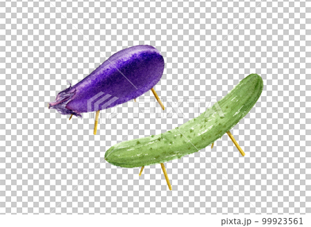 精霊馬と精霊牛の水彩イラスト　アナログ手描き　背景透過PNG 99923561