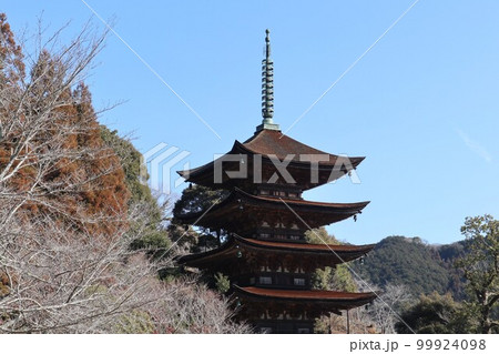 梅薫る立春の山口瑠璃光寺 梅薫る立春の山口瑠璃光寺 99924098