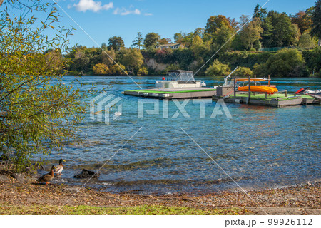 The boat pier and beautiful view of Taupo the largest freshwater lake in North Island of New Zealand. 99926112