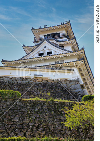 高知城の見事な野面積みの石垣と天守閣 99926326