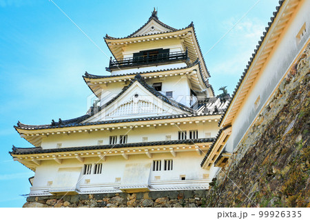 高知城の見事な野面積みの石垣と天守閣 高知城の見事な野面積みの石垣と天守閣 99926335