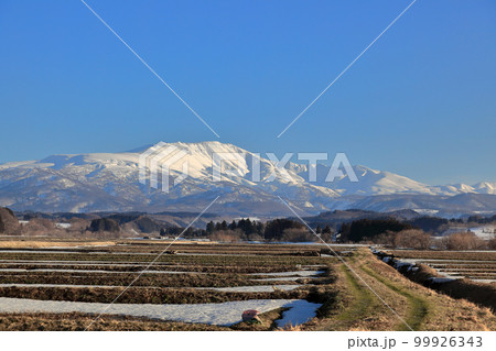 庄内平野の三月風景　棚田と月山 99926343