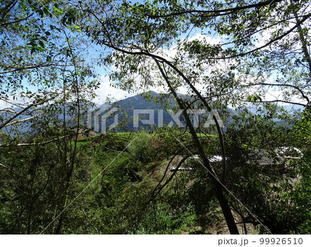 フィリピンのイフガオ州ティノック町の風景 99926510