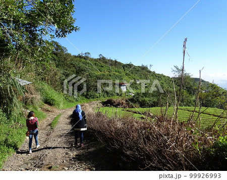 フィリピンのイフガオ州ティノック町の風景 99926993
