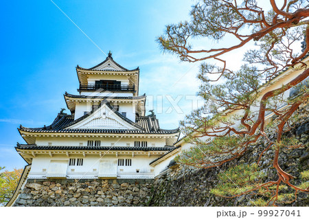 高知城の見事な野面積みの石垣と天守閣 99927041