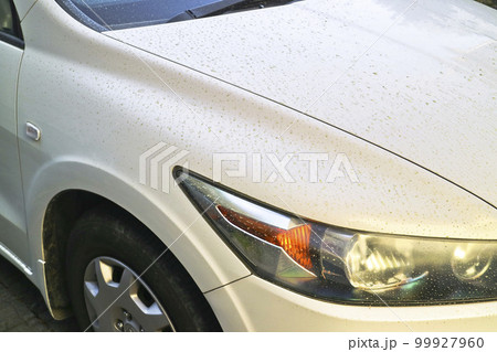花粉や黄砂で汚れた車 花粉や黄砂で汚れた車 99927960