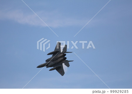 戦闘機 戦闘機 99929285