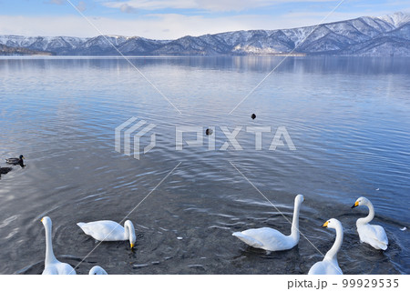 冬の支笏湖 99929535