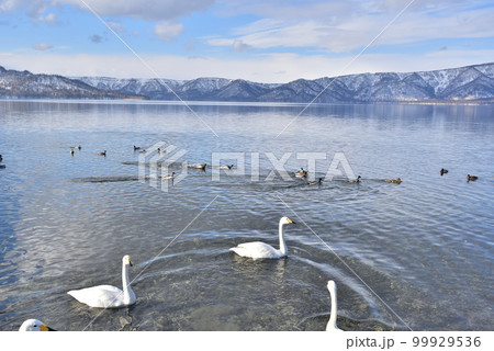 冬の支笏湖 99929536