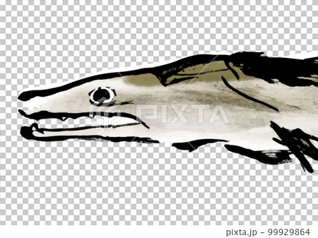 Conger手繪日式插畫素材 Conger手繪日式插畫素材 99929864